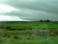 On the road to Dingle.jpg
